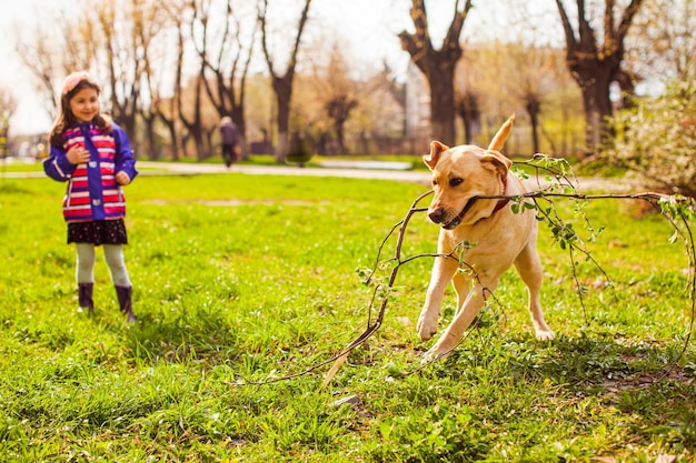 Feliz jovem retriever dourado brincando do lado de fora segurando cortes de madeira após a redução da coroa da árvore Garotinha dona do animal de estimação em pé perto do cachorro assistindo-o jogando blured