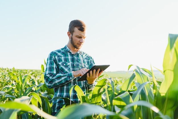 Feliz joven agricultor o agrónomo con tableta en campo de maíz. Sistema de riego al fondo. Agricultura ecológica y producción de alimentos