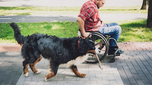 Feliz joven con discapacidad física en silla de ruedas con su perro