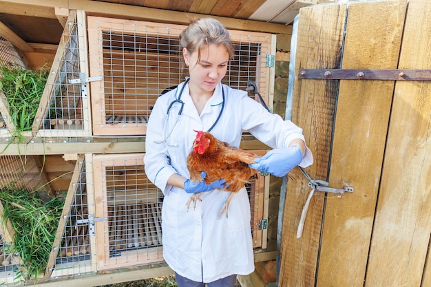 Feliz joven veterinario con estetoscopio sosteniendo y examinando pollo en el fondo del rancho que él ...