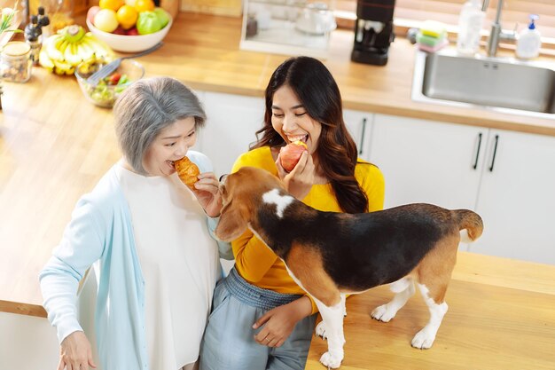 Feliz jubilación de una anciana asiática y su hija disfrutando de su mascota en el hogar Concepto de mascota de amistad y estilo de vida humano