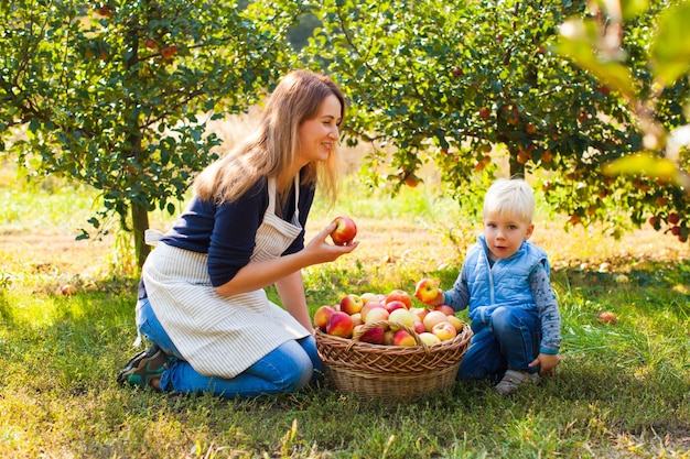 Feliz madre e hijo recogiendo manzanas en una granja en otoño. Feliz día de la familia en el jardín de manzanas.