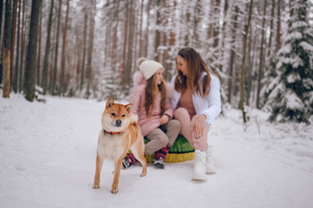 Feliz madre y niña linda en ropa rosa cálida caminando divirtiéndose paseos en tubo de nieve inflable con perro shiba inu rojo en el bosque de invierno frío blanco como la nieve al aire libre