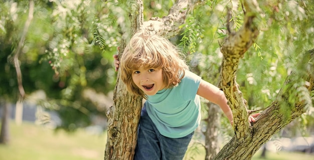 Feliz menino enérgico garoto escalar árvore verão ao ar livre escalada de árvore