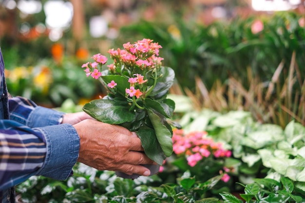 Feliz mulher caucasiana sênior em camisa quadriculada desfrutando de compras na estufa selecionando vasos de plantas e flores para seu jardim