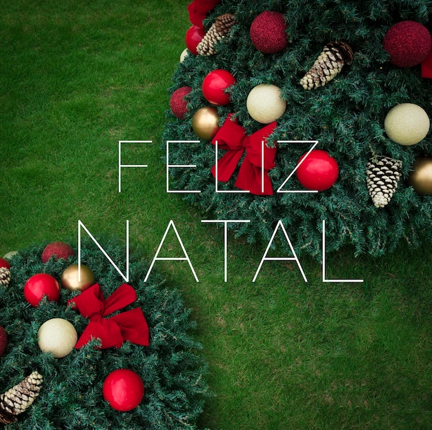 Feliz navidad texto. Fondo de Navidad con árbol de Navidad en imagen de concepto de hierba.