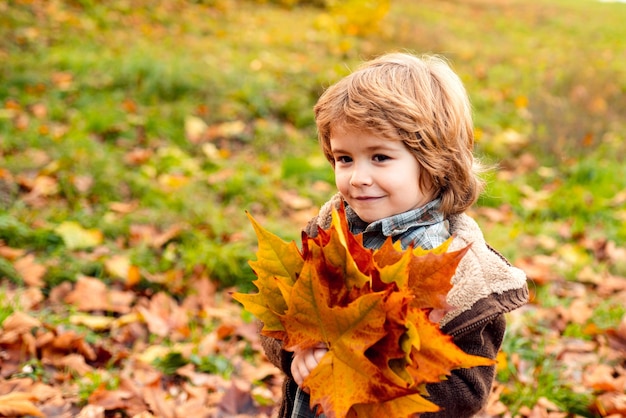 Feliz niño de 6 años mantenga hojas de otoño en un parque. El niño se divierte jugando en hojas de otoño.