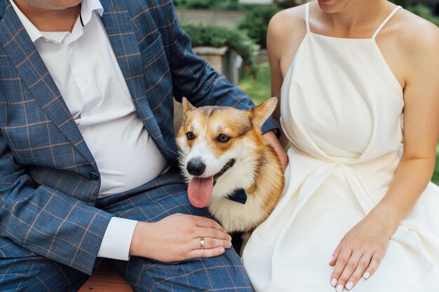 Feliz novia y el novio abrazan a su perro corgi