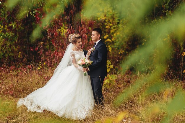 feliz novia y el novio caminando en el bosque de otoño