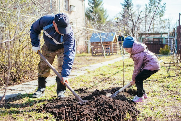 Feliz pai e filha plantando uma nova árvore na vila na primavera