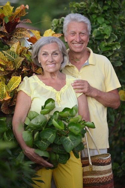 Feliz pareja de ancianos en el jardín tropical al aire libre