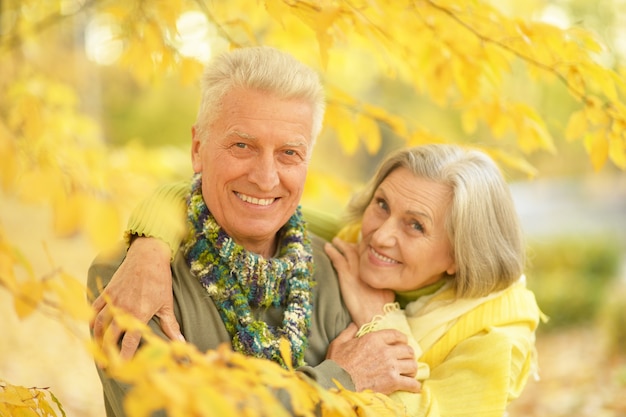 Feliz pareja de ancianos posando en el parque de otoño