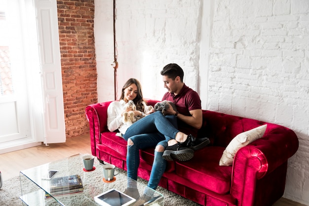 Feliz pareja joven relajado en casa con una mascota conejito