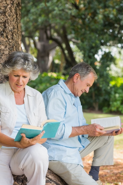 Feliz pareja mayor leyendo libros juntos sentados en el tronco de un árbol