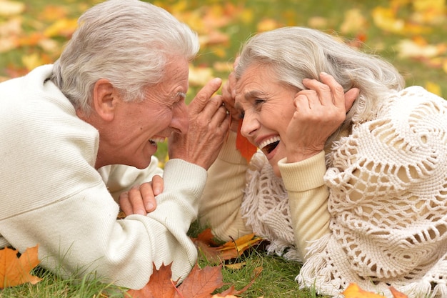 feliz, pareja mayor, en, otoño, parque, mentira