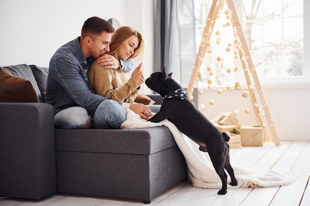 Feliz pareja moderna joven sentada en el sofá en casa con árbol de Navidad con su lindo perro.