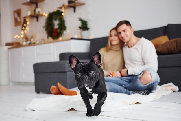 Feliz pareja moderna joven sentada en el sofá en casa con su lindo perro.