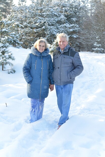 Feliz pareja senior caminando en invierno al aire libre