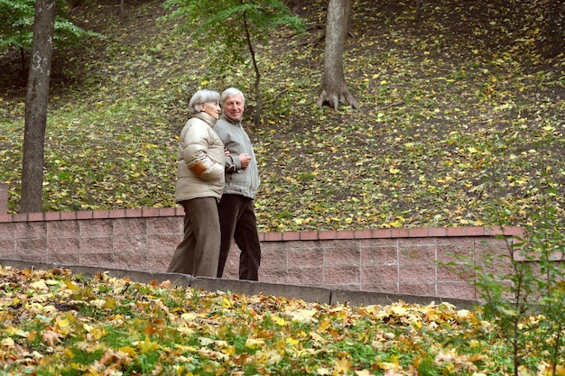 Feliz pareja senior caminando en el parque otoño