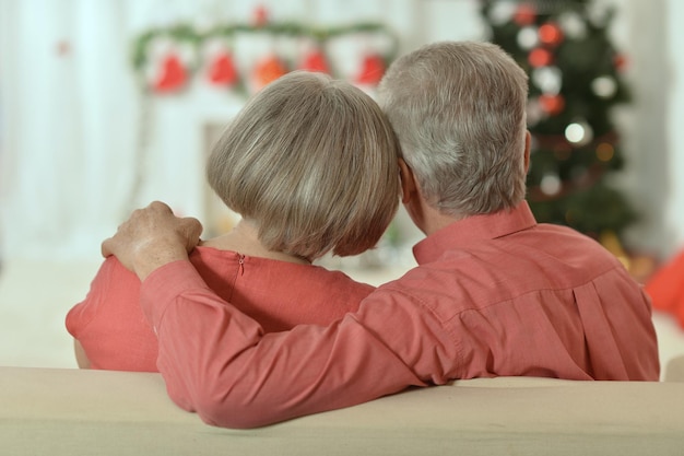 Feliz pareja senior en casa