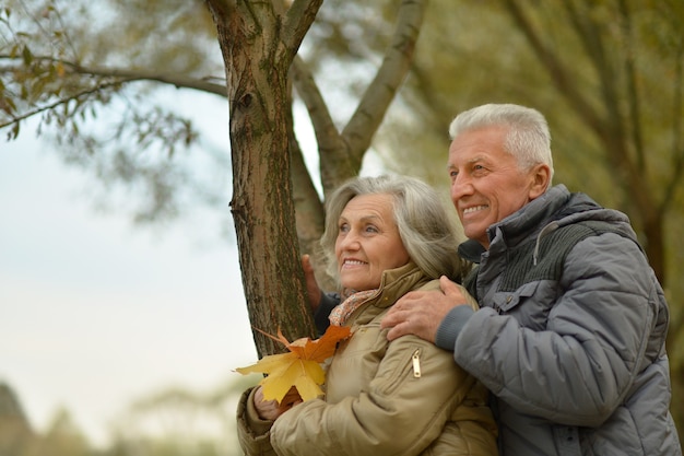 Feliz pareja senior cerca del agua en el parque otoño