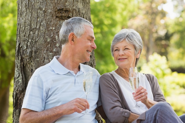 Feliz pareja senior con champán en el parque