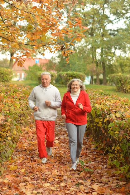 Feliz pareja senior en forma de jogging en el parque de otoño