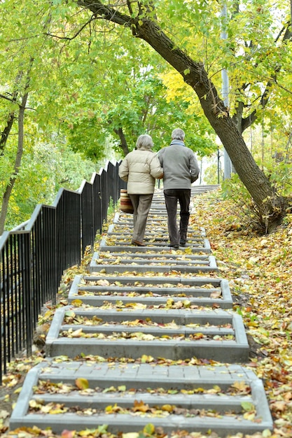 Feliz pareja senior en el parque de otoño caminando vista trasera