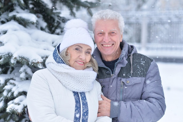 Feliz pareja senior posando en invierno al aire libre