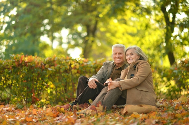 Feliz pareja senior relajante en el parque otoño