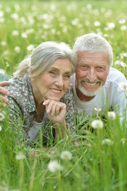 Feliz pareja senior tumbada en un prado verde con dientes de león