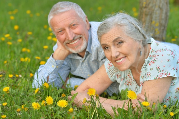 Feliz pareja senior tumbada en un prado verde con dientes de león