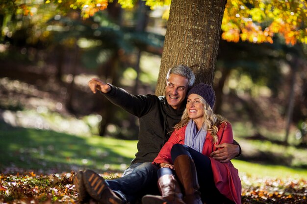 Feliz pareja sentada bajo un árbol en el parque