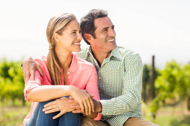 Feliz pareja sentada en viñedo