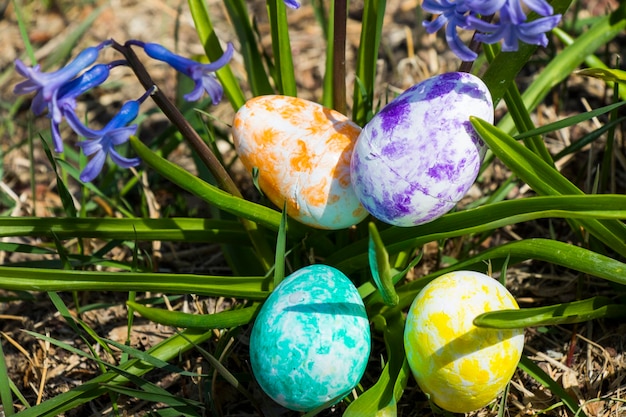 Feliz Páscoa ovos coloridos e flores Grama e terra