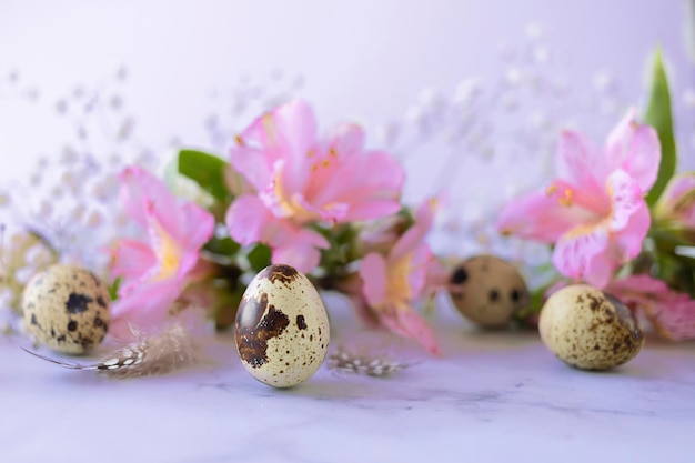 Foto feliz páscoa ovos de codorna penas primavera flores cor de rosa em muito peri fundo