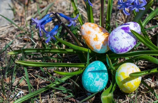Feliz Pascua coloridos huevos y flores Hierba y tierra