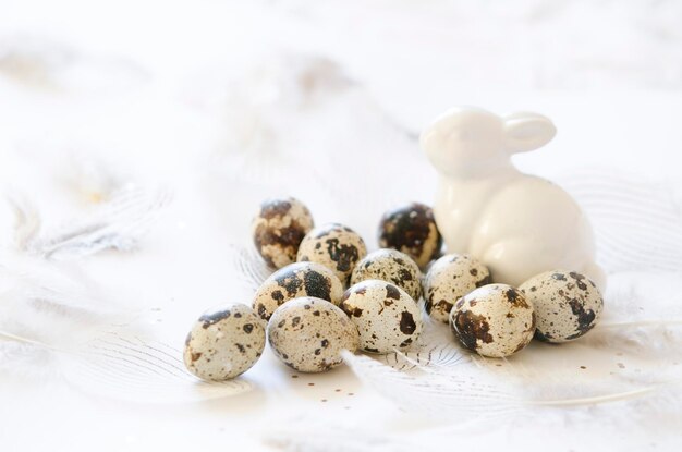 Feliz Pascua. Conejito de Pascua, huevos de codorniz y plumas.