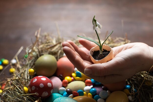 Feliz Pascua Mujer sosteniendo la primera flor de primavera Concepto de primavera