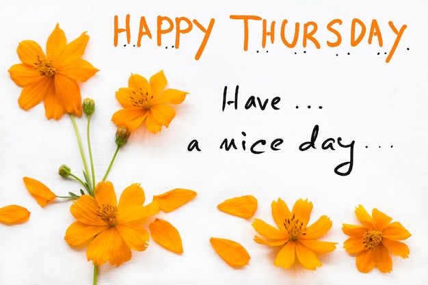 Feliz quinta-feira tenha um bom dia caligrafia de cartão de mensagem com cosmos de flores de laranja