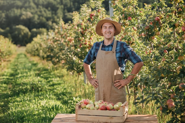 Feliz sonriente agricultor trabajador recogiendo manzanas maduras frescas en el jardín de la huerta durante la cosecha de otoño Tiempo de cosecha