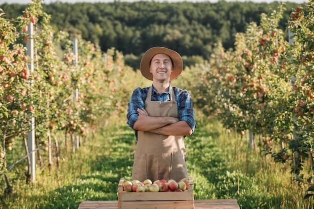 Feliz sonriente agricultor trabajador recogiendo manzanas maduras frescas en el jardín de la huerta durante la cosecha de otoño Tiempo de cosecha