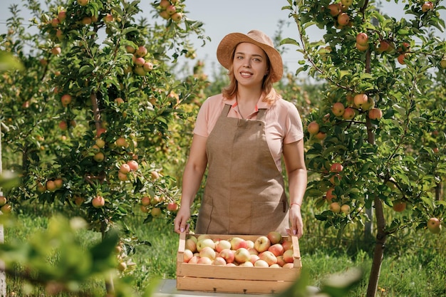 Feliz sonriente agricultora trabajadora recogiendo manzanas maduras frescas en el jardín de la huerta durante la cosecha de otoño Tiempo de cosecha