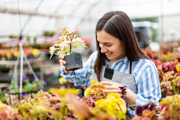 Feliz sonriente joven mujer trabajando con flores en invernadero con plantas multicolores de caja