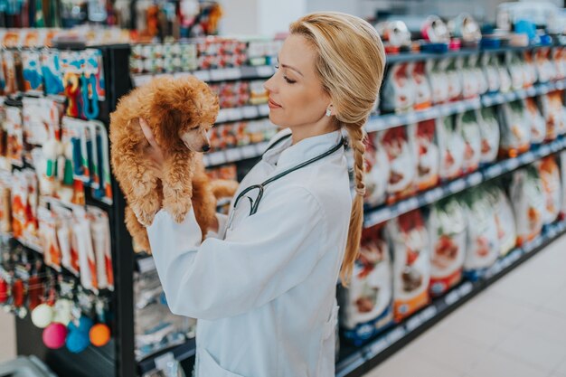 Foto feliz y sonriente mujer veterinaria de mediana edad está de pie en la tienda de mascotas y sostiene un lindo caniche rojo en miniatura.