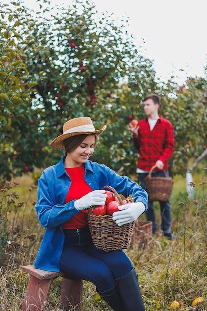 Feliz sonriente trabajadora con sombrero recogiendo manzanas maduras frescas en el huerto durante la cosecha de otoño Tiempo de cosecha