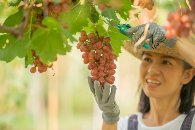 Feliz sorridente alegre vinha fêmea vestindo macacão e um chapéu de palha vestido de fazenda