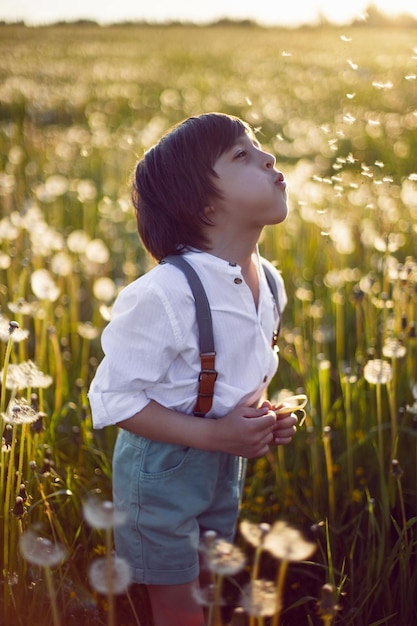 Feliz um menino lindo em carrinhos em um campo com dentes de leão brancos ao pôr do sol no verão