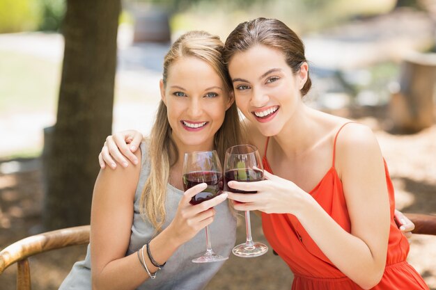Felizes amigos brindando com taças de vinho