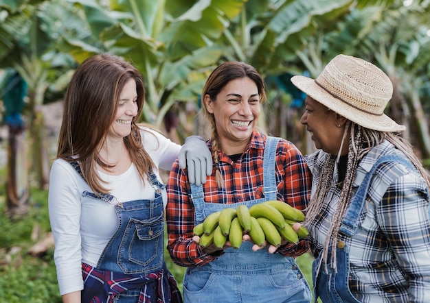 Felizes mulheres de agricultura multiétnica se divertindo na fazenda de banana